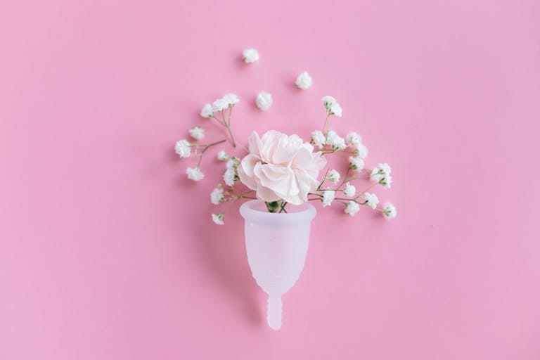 Ein Menstruations Cup ist zu sehen, in dem eine Blume steckt. Der weibliche Zyklus ist ein Rhythmus, dem man mit Zellgesundheit weich schlagen lassen kann