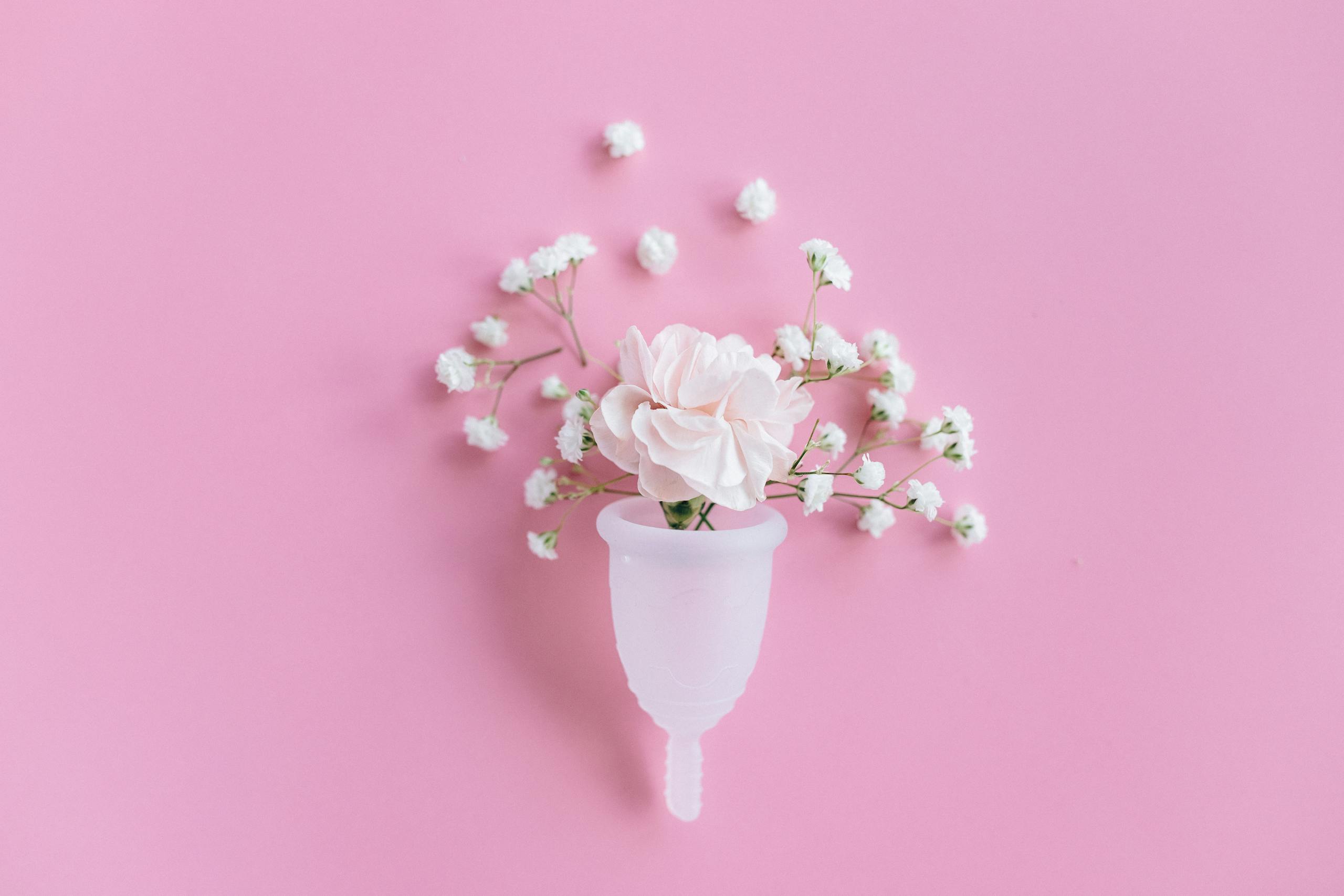 Ein Menstruations Cup ist zu sehen, in dem eine Blume steckt. Der weibliche Zyklus ist ein Rhythmus, dem man mit Zellgesundheit weich schlagen lassen kann